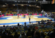 Asseco zagra w Europucharze!