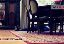 Polski kryminał o koszykówce? Tak, to możliwe!