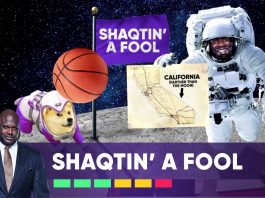 NBA: Taran Draymond, piłka w kosmos i wystraszony Brook Lopez!