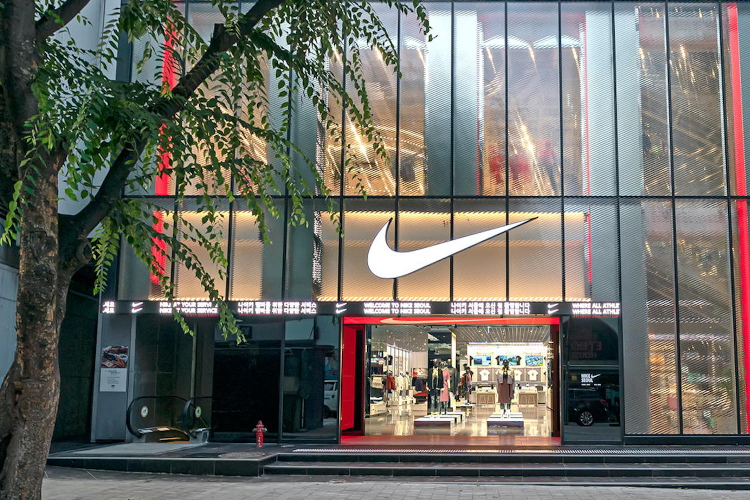 doble Mathis Lo anterior Nowa wyprzedaż w oficjalnym sklepie Nike! - PROBASKET