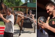 NBA: Jokić świętował MVP w… stajni. Nie zabrakło zaprzęgu konnego, czy akordeonu