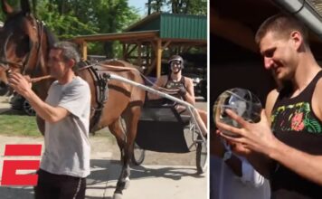 NBA: Jokić świętował MVP w… stajni. Nie zabrakło zaprzęgu konnego, czy akordeonu