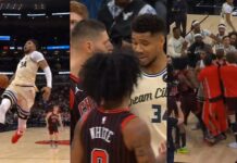 NBA: Giannis rozsierdził graczy Bulls. A później taka szpilka od Vucevicia!