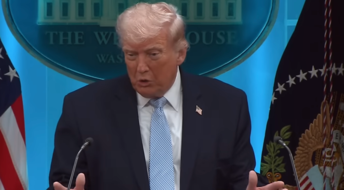 NBA: Knicks dostaną specjalne wsparcie podczas Finałów? Donald Trump