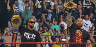 NBA: Niecodzienne sceny w Madison Square Garden! Gwiazdy NBA przejęły ring WWE
