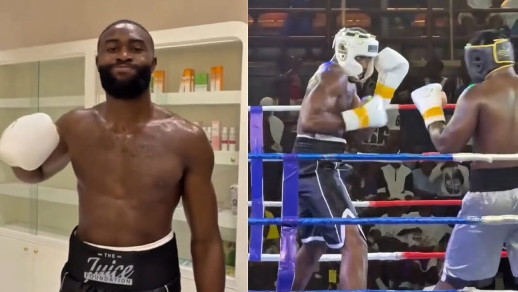 jaylen brown boks